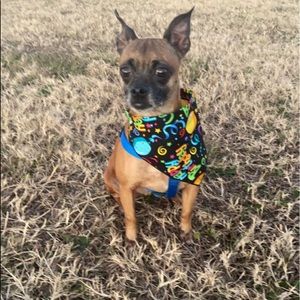 Meet your Posher, Lisa